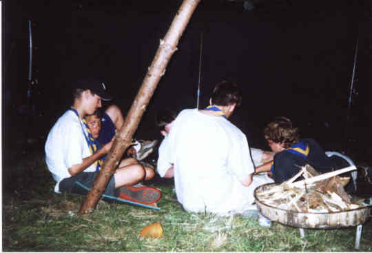 11.jpg