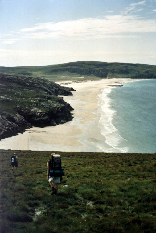 65.jpg