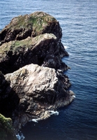 59.jpg