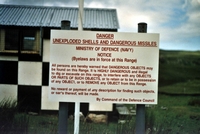 63.jpg