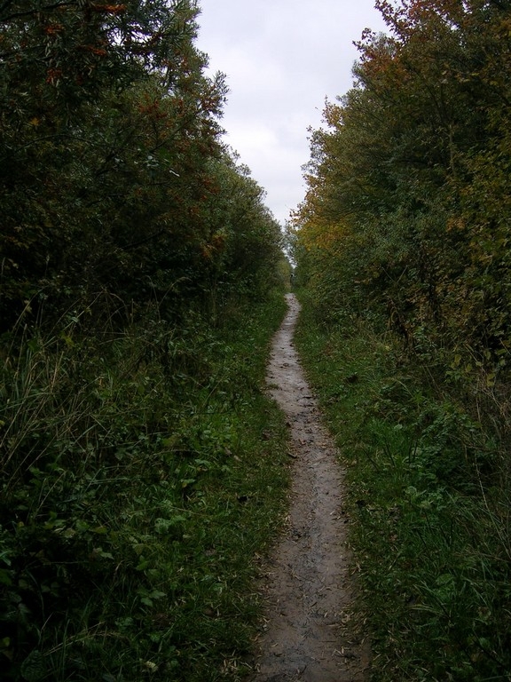 13.jpg
