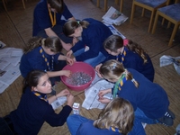 09.jpg