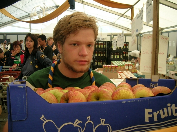 15.jpg