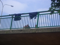 58.jpg