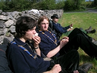 19.jpg