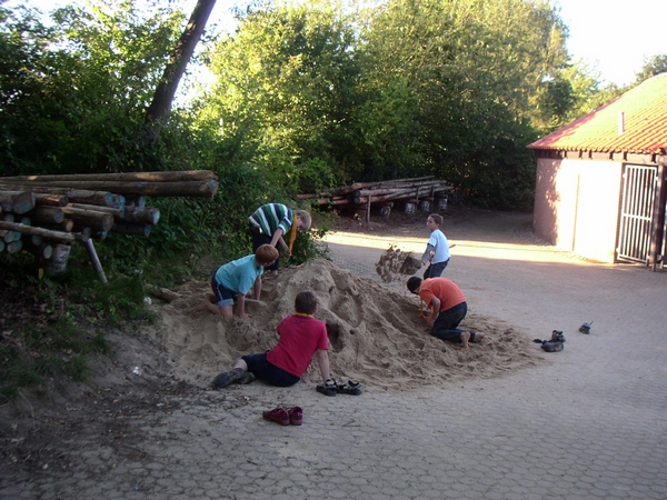08.jpg