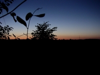 LaWöLa 2005