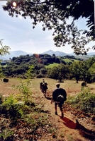 Pays Basque 2005