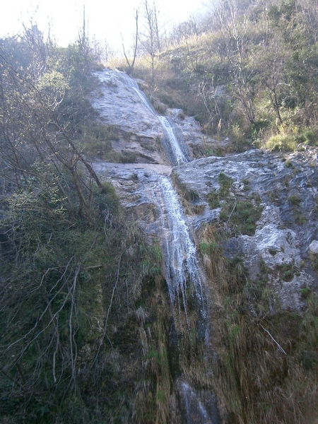CIMG6544.jpg
