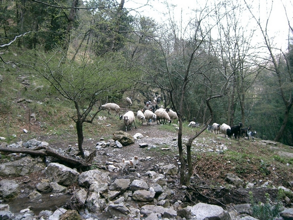 CIMG6563.jpg