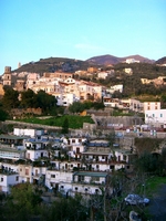 CIMG6455.jpg