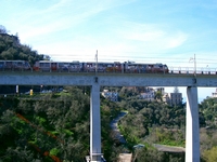 CIMG6491.jpg