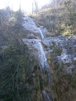 CIMG6544.jpg