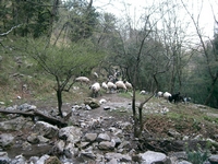 CIMG6563.jpg