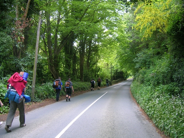 DSCN5502.jpg