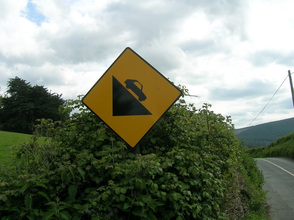 DSCN5518.jpg