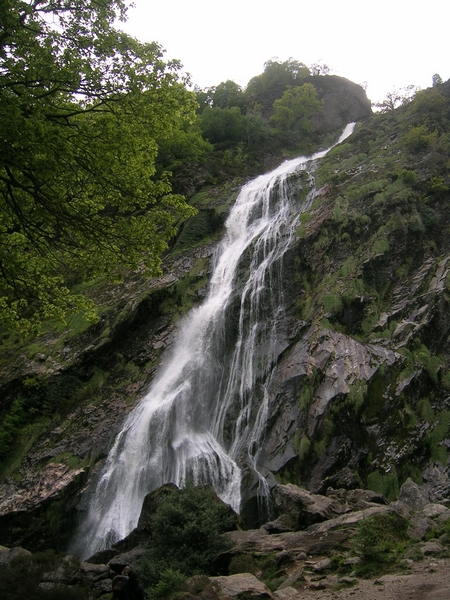DSCN5545.jpg