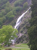 DSCN5541.jpg