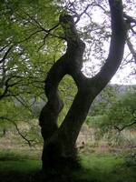 DSCN5584.jpg