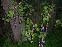 100_2750.jpg