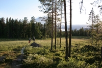 06.jpg