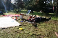 IMG_7015.jpg