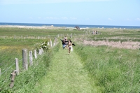 IMG_4647.jpg