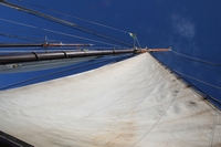 Segeln 2006