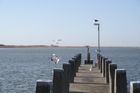 IMG_3378.jpg