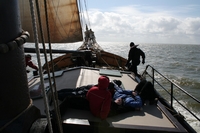 IMG_3470.jpg
