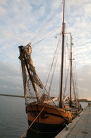 IMG_3494.jpg