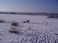 19.jpg
