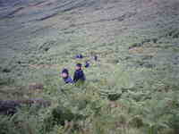 Schottland-20050105-094327.jpg