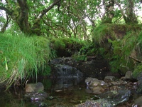 Schottland 2007