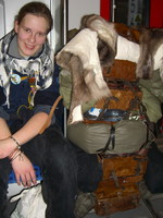 rira-20071202-162250.jpg