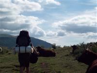 bild-2008-05-12-05-30-13.jpg