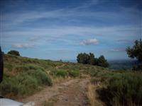 bild-2008-05-12-05-51-17.jpg