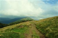 bild-2008-08-11-06-07-35.jpg