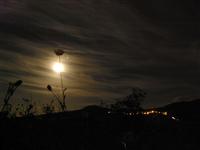 bild-2008-08-13-10-44-01.jpg