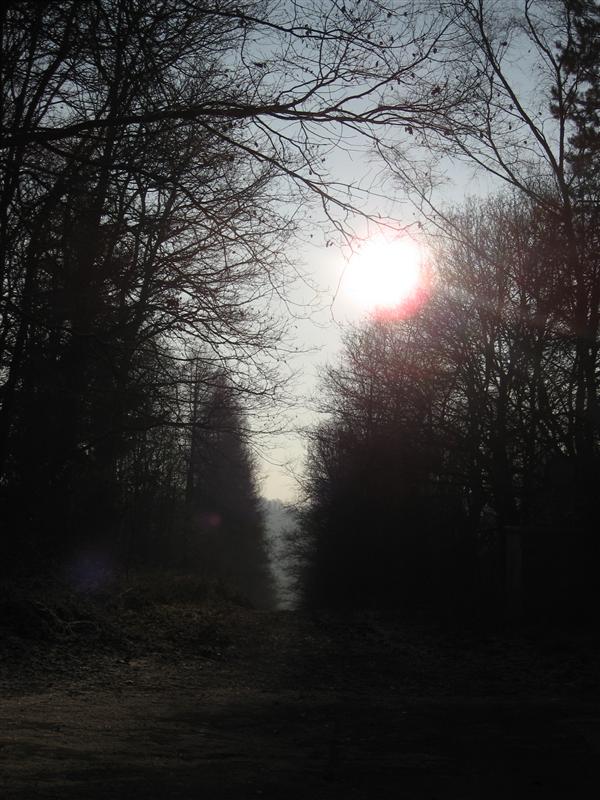 bild-2008-12-29-02-28-48.jpg