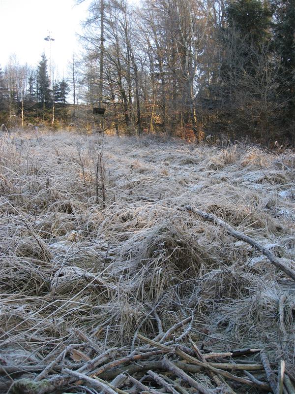 bild-2008-12-30-09-50-30.jpg
