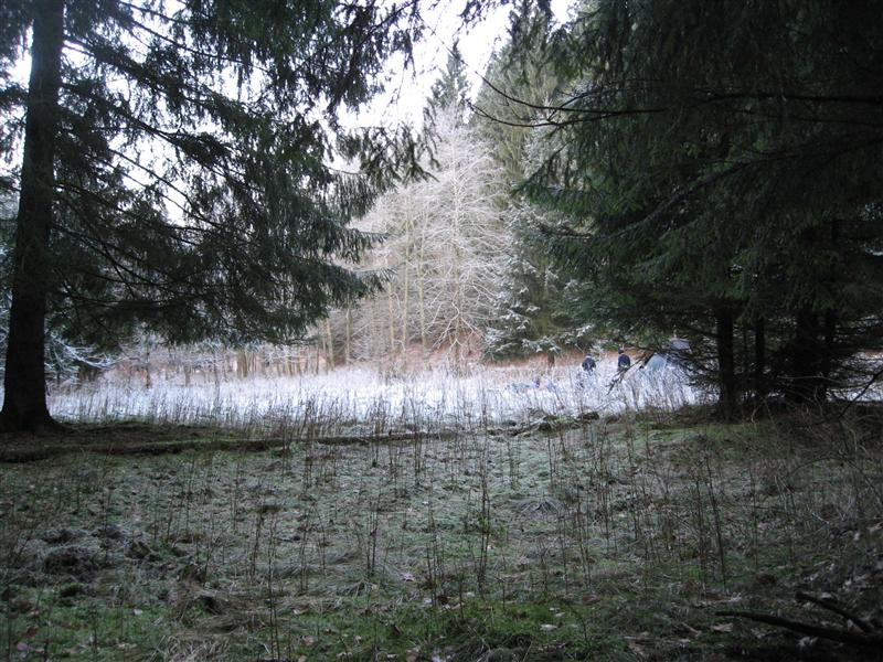 bild-2008-12-31-09-36-35.jpg
