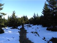 bild-2008-12-30-01-39-19.jpg
