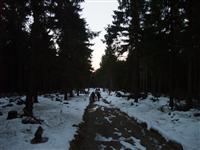 bild-2008-12-30-04-09-54.jpg
