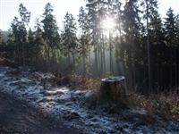 bild-2008-12-30-10-32-32.jpg