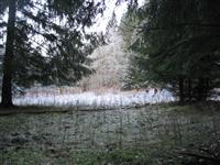 bild-2008-12-31-09-36-35.jpg