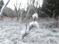 bild-2008-12-31-10-59-13.jpg