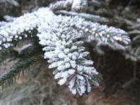 Winterfahrt 2008/2009