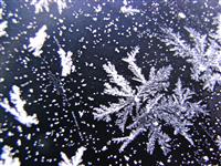 Winterfahrt 2008/2009