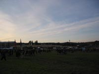 IMG_1253.jpg